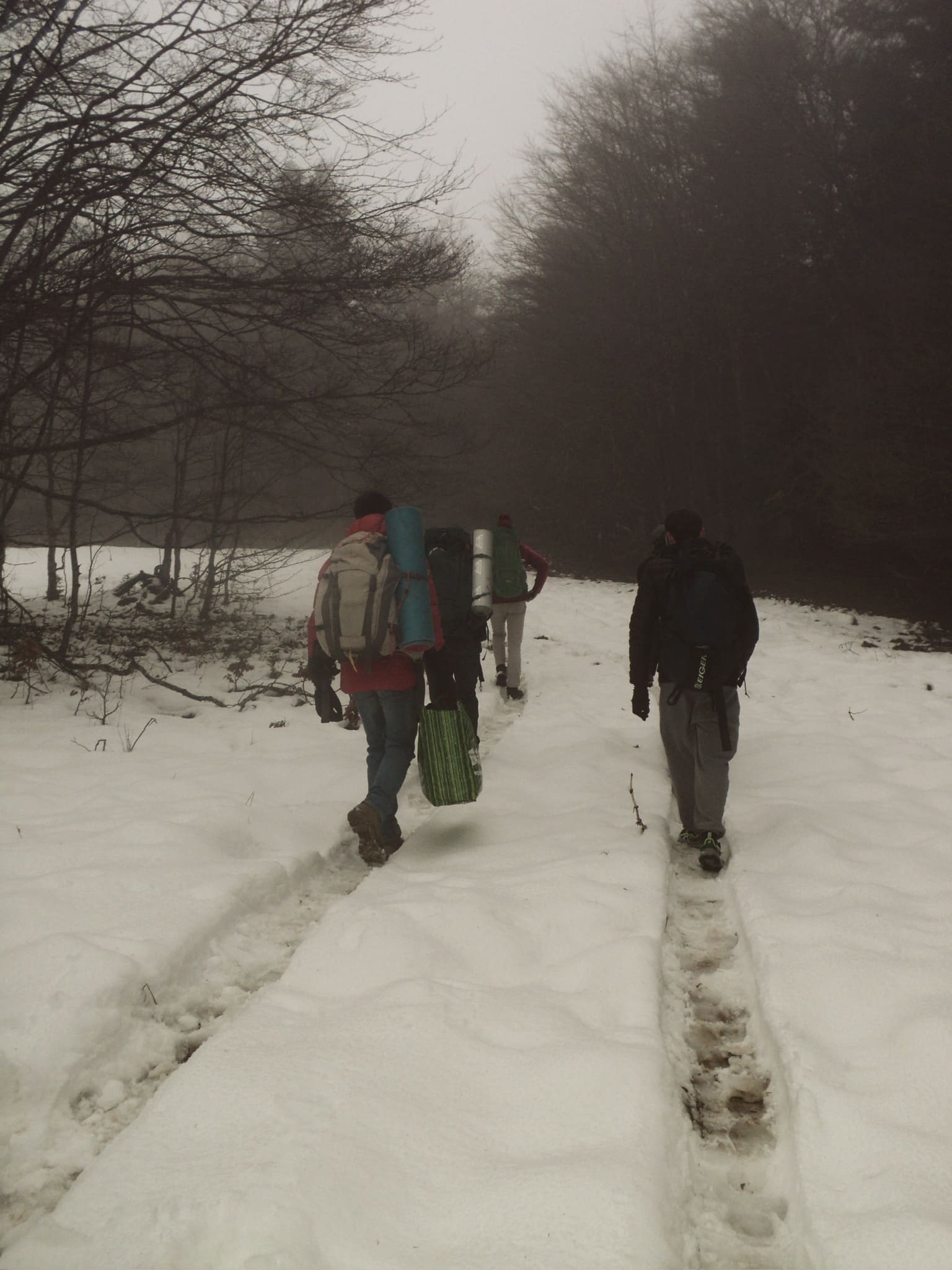 Trace de pas dans la neige au Grand Colombier